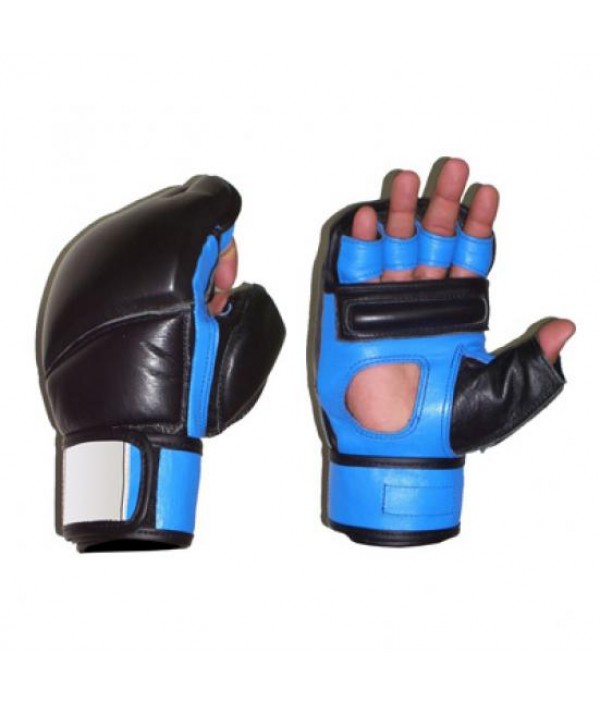 MMA Gloves